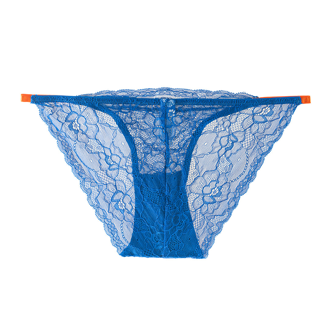Sunset BlueBird Brief